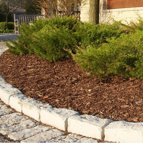 Border bark mulch used in a garden border