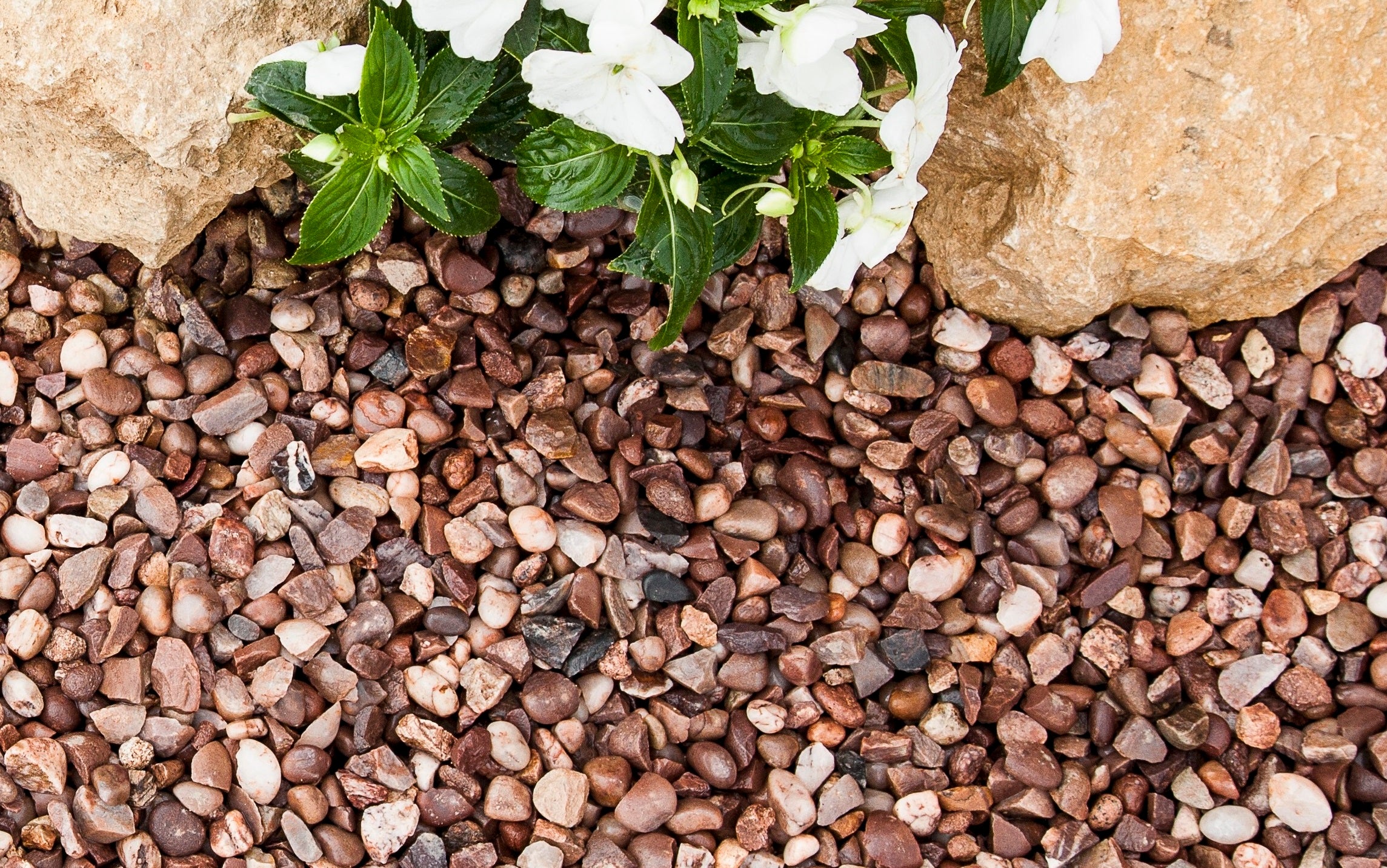 Pink gravel used in a garden