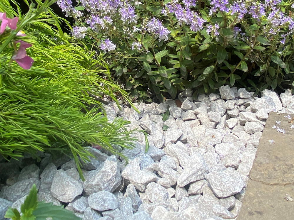 Garden border
