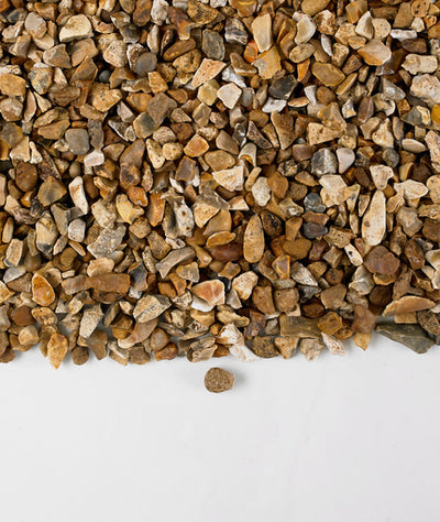Golden gravel