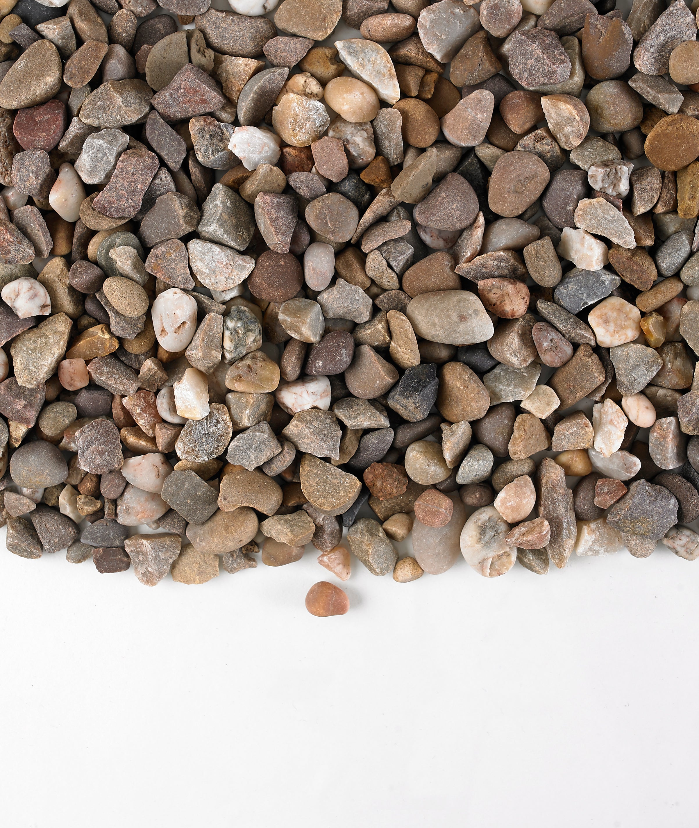 Dry pea gravel