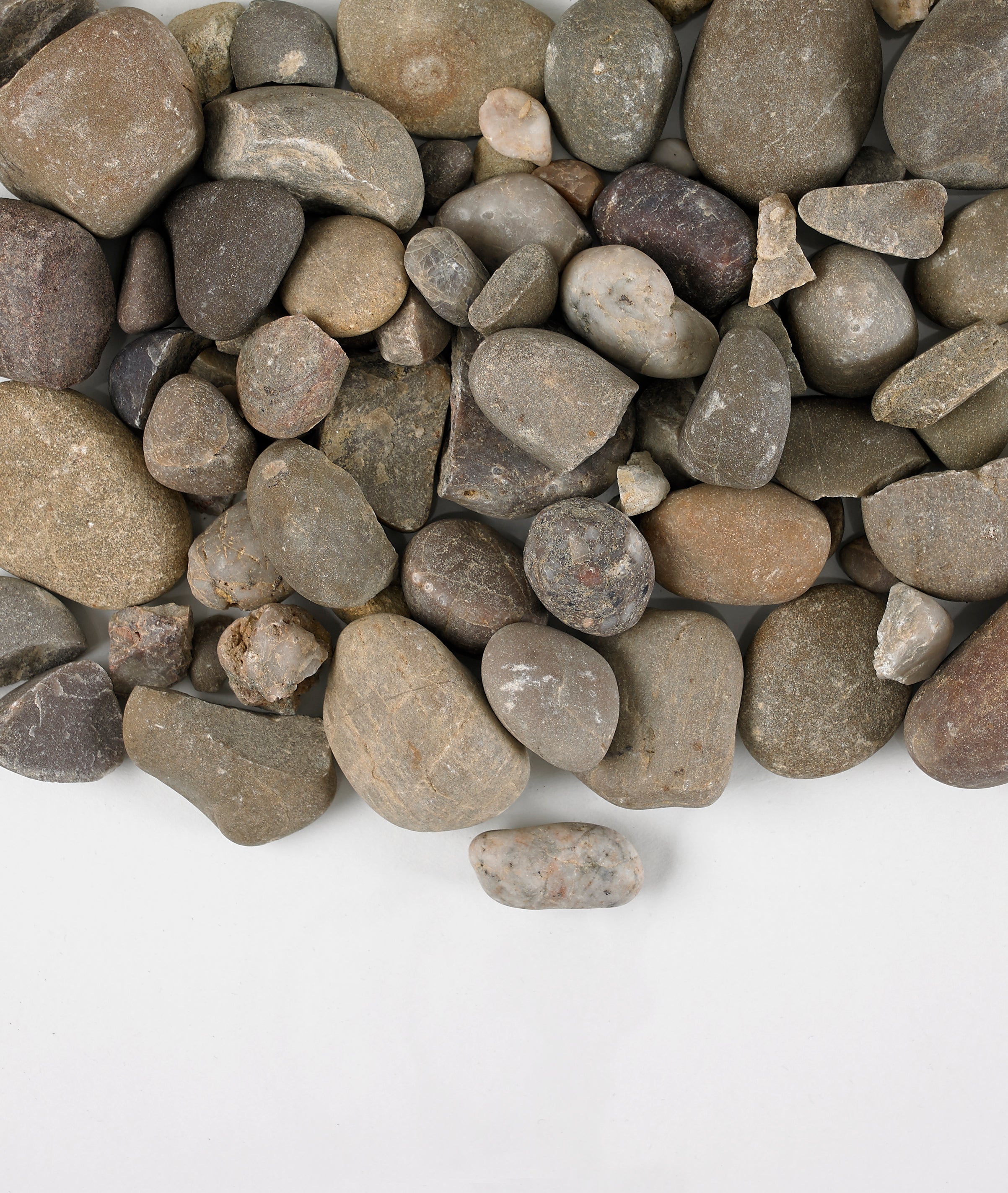 Dry pea pebbles