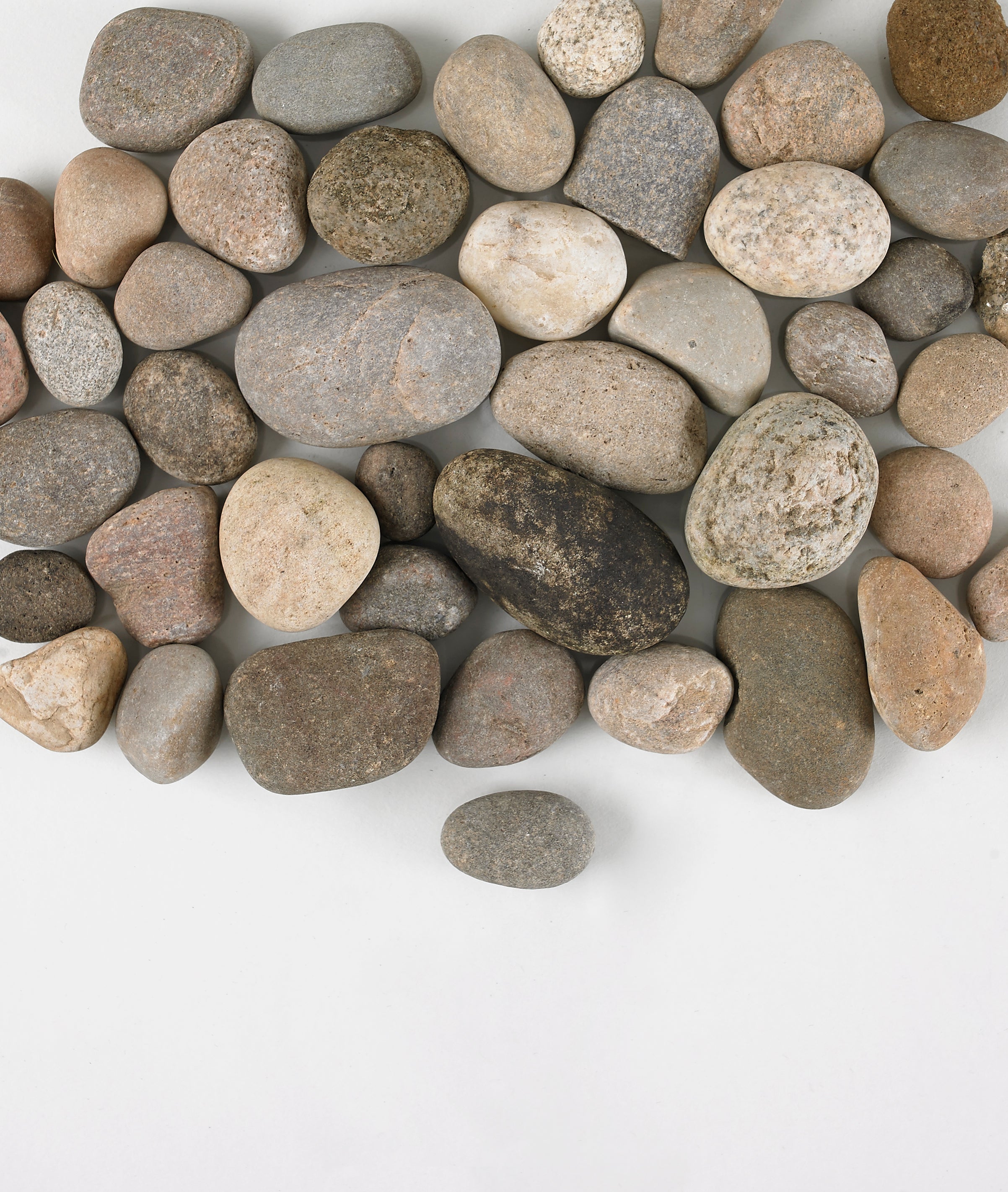 Scottish pebbles for gardening and landscaping