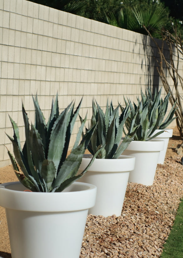 Four garden plant pots in a row