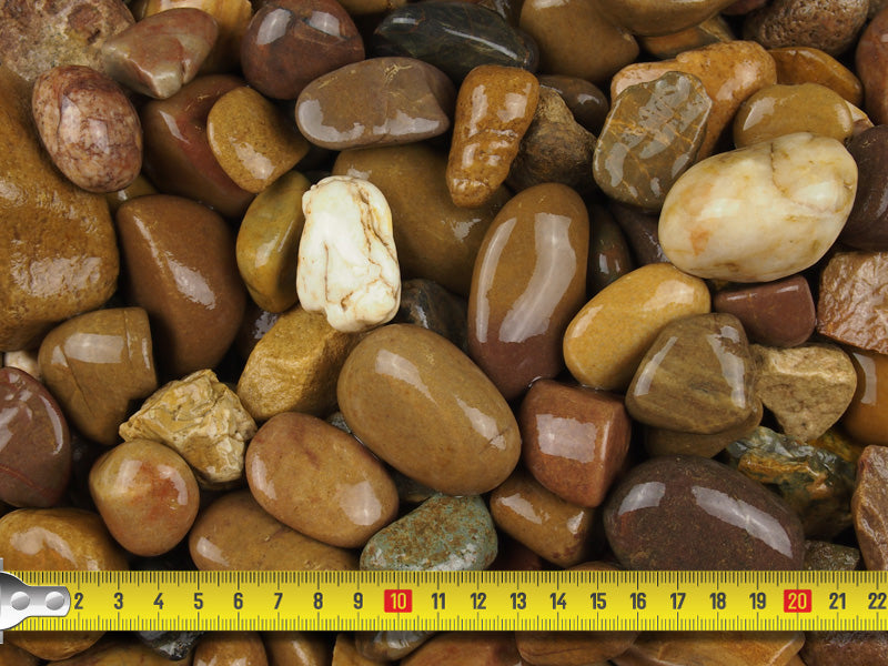Wet pea pebbles