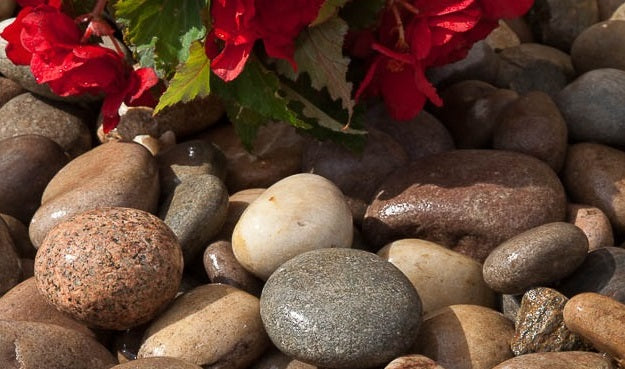 wet colourful stones