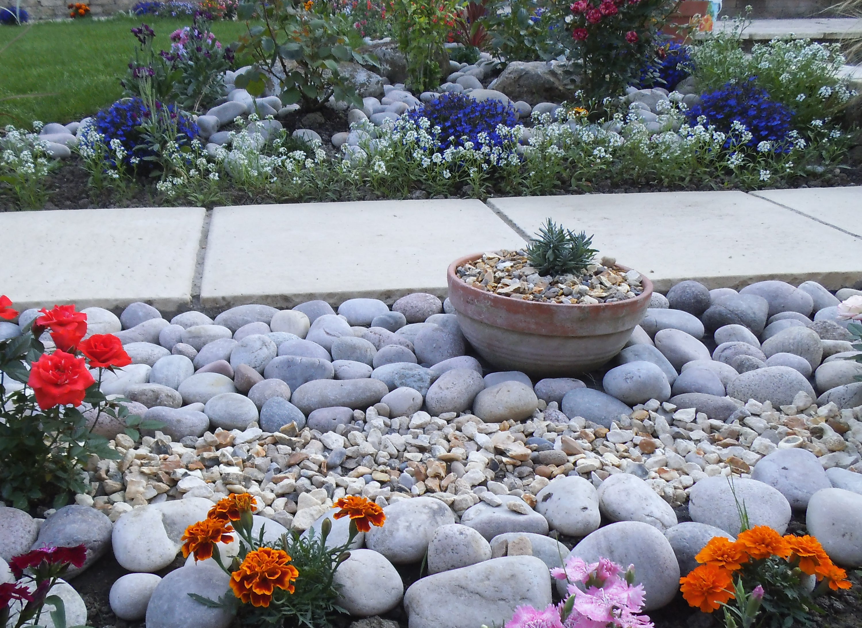 Beautiful garden design