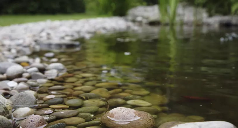 A garden pond filled with cobbles and surrounded by pebbles
