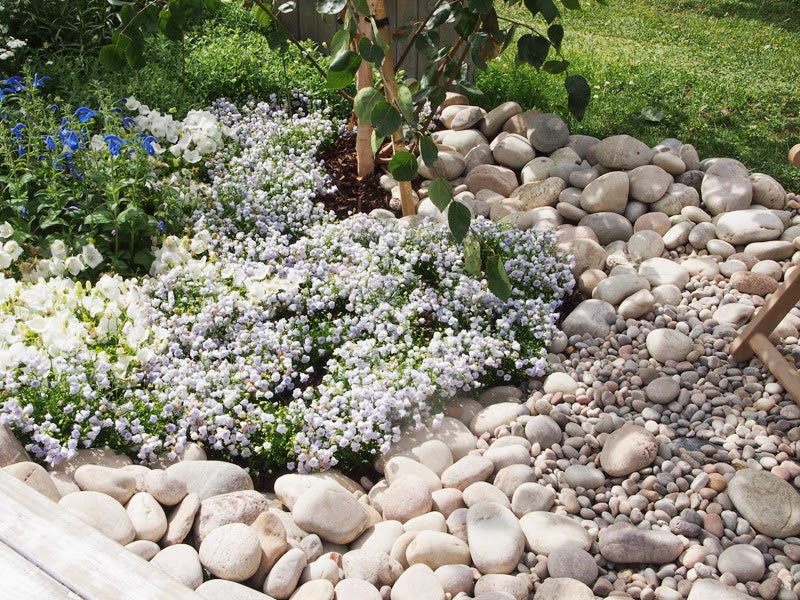 How To Clean & Maintain Decorative Garden Stones