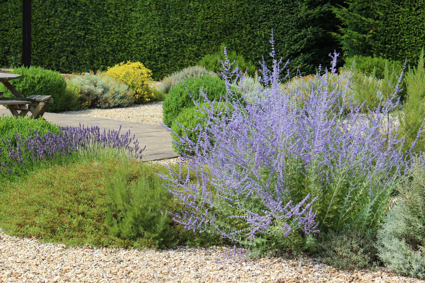 How to Create and Maintain A Gravel Garden