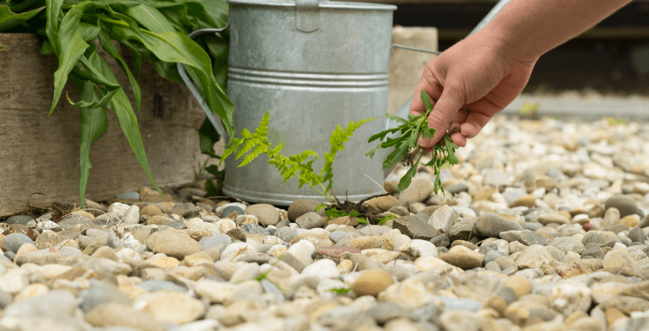 Weed-busting: Protecting Your Garden Gravel & Slate Chippings