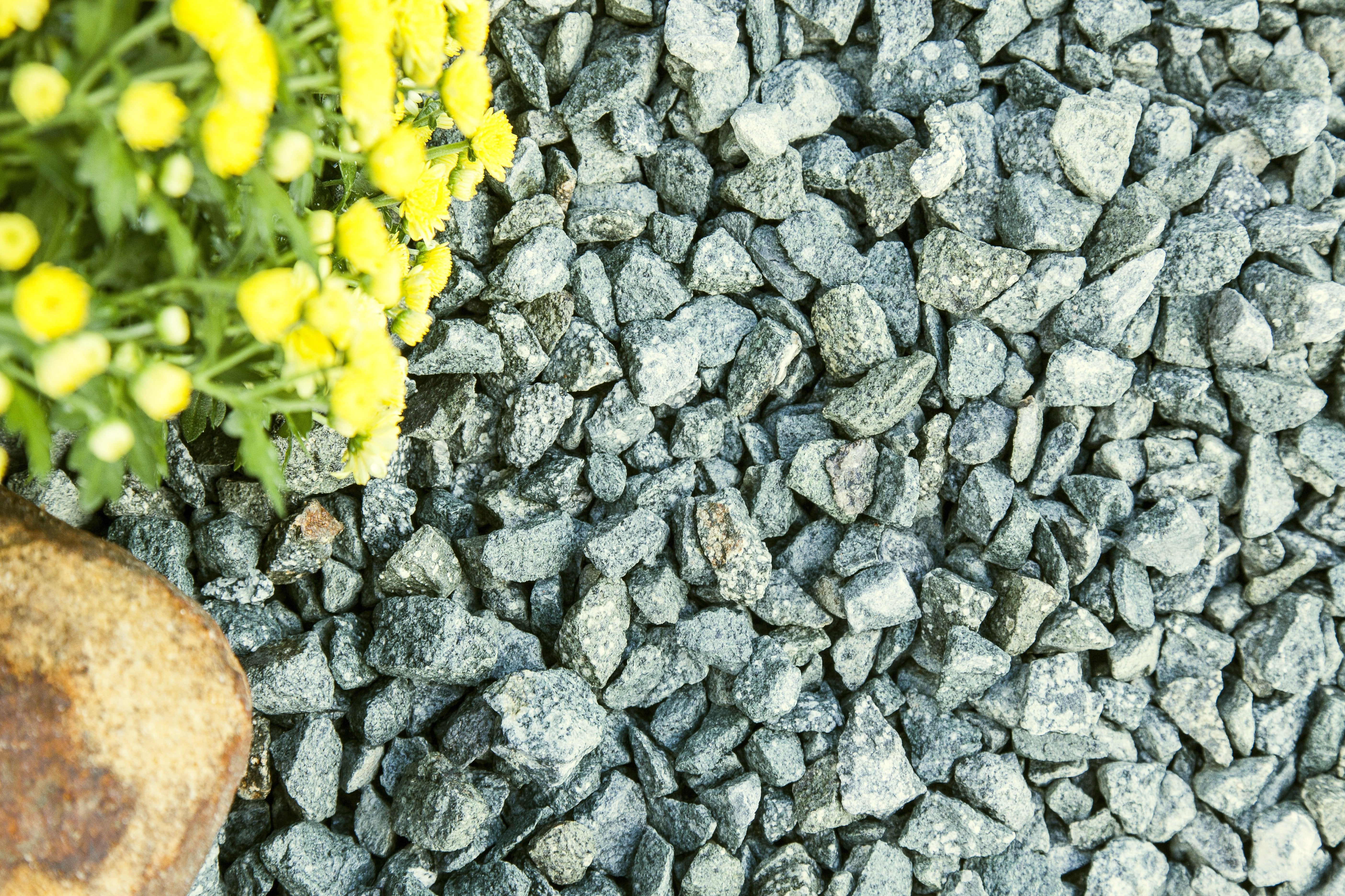 小物 Kearny gravel-3 green stone x gold Yard Elements 0.25 cu. ft. 3/8 in. Desert Gold Crushed