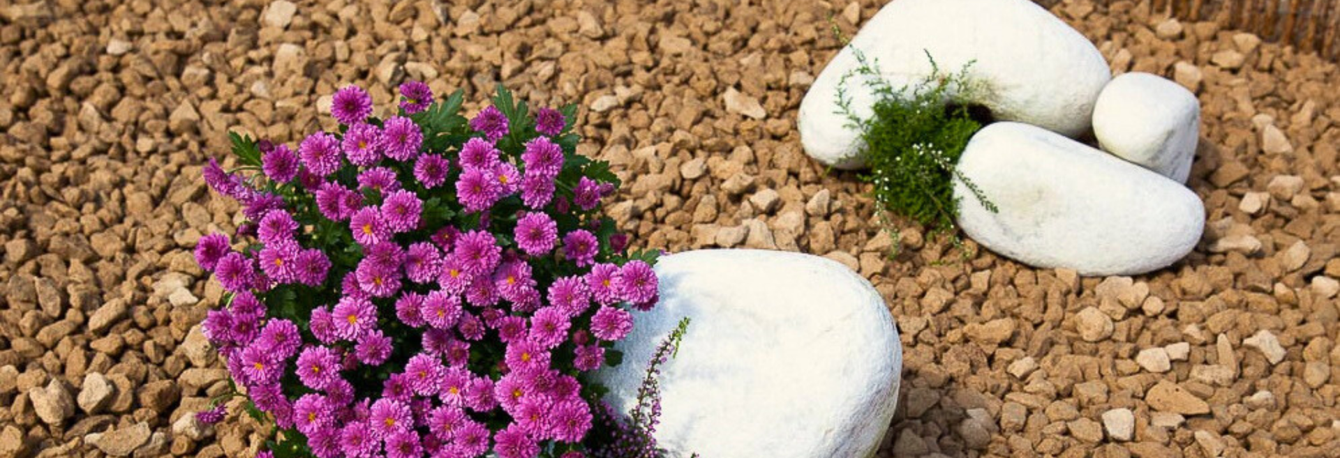 Cotswold Golden Gravel