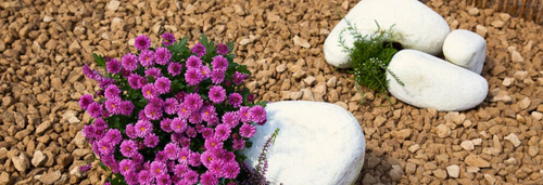 Cotswold Golden Gravel