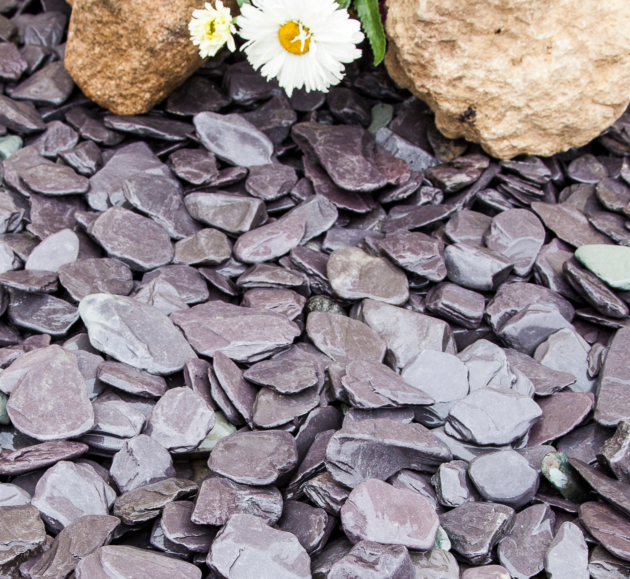 Blue Paddlestones