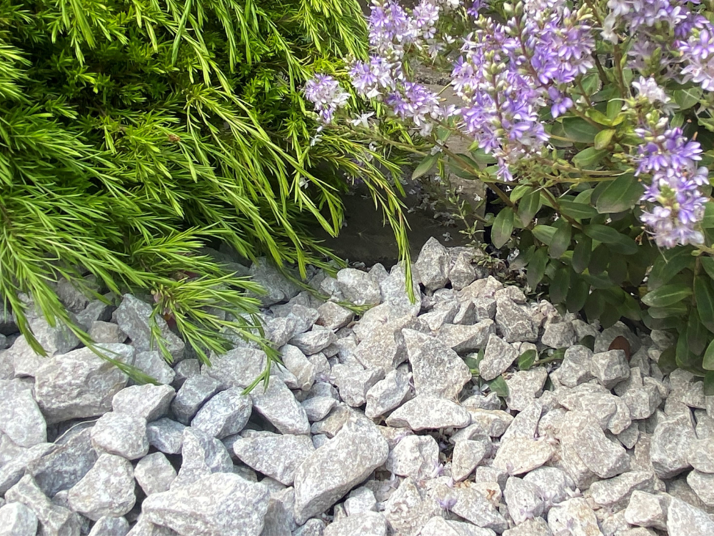 Dove Grey Limestone Gravel 20mm