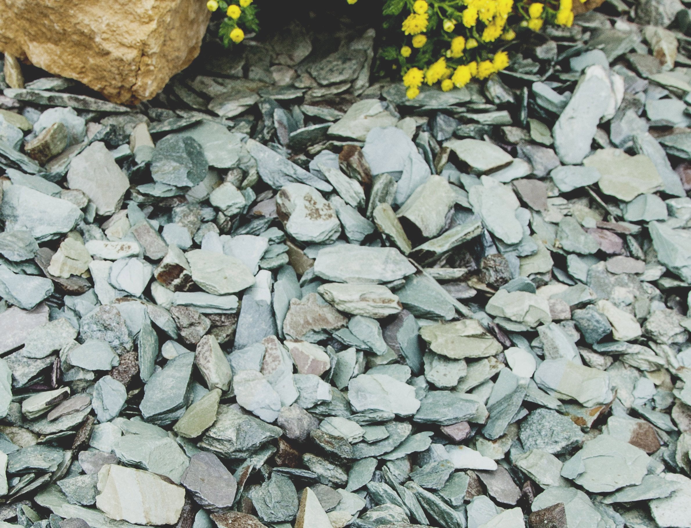 Green Slate Chippings 40mm