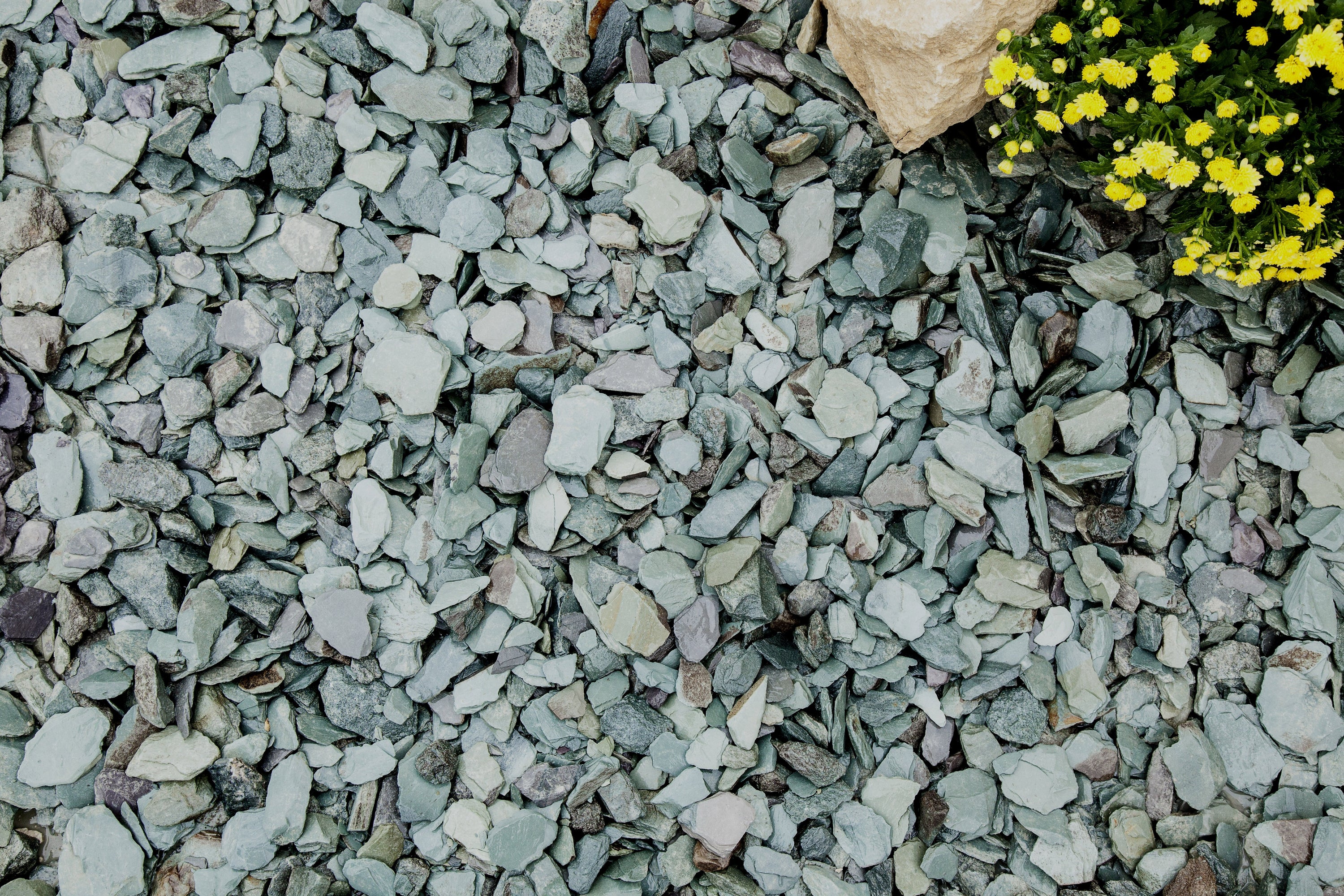 Green Slate Chippings 20mm