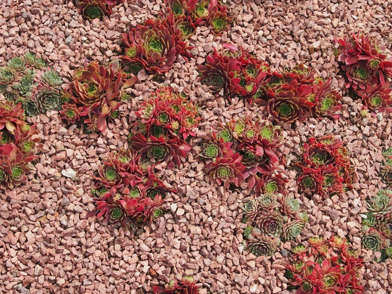 Red Granite Gravel 20mm