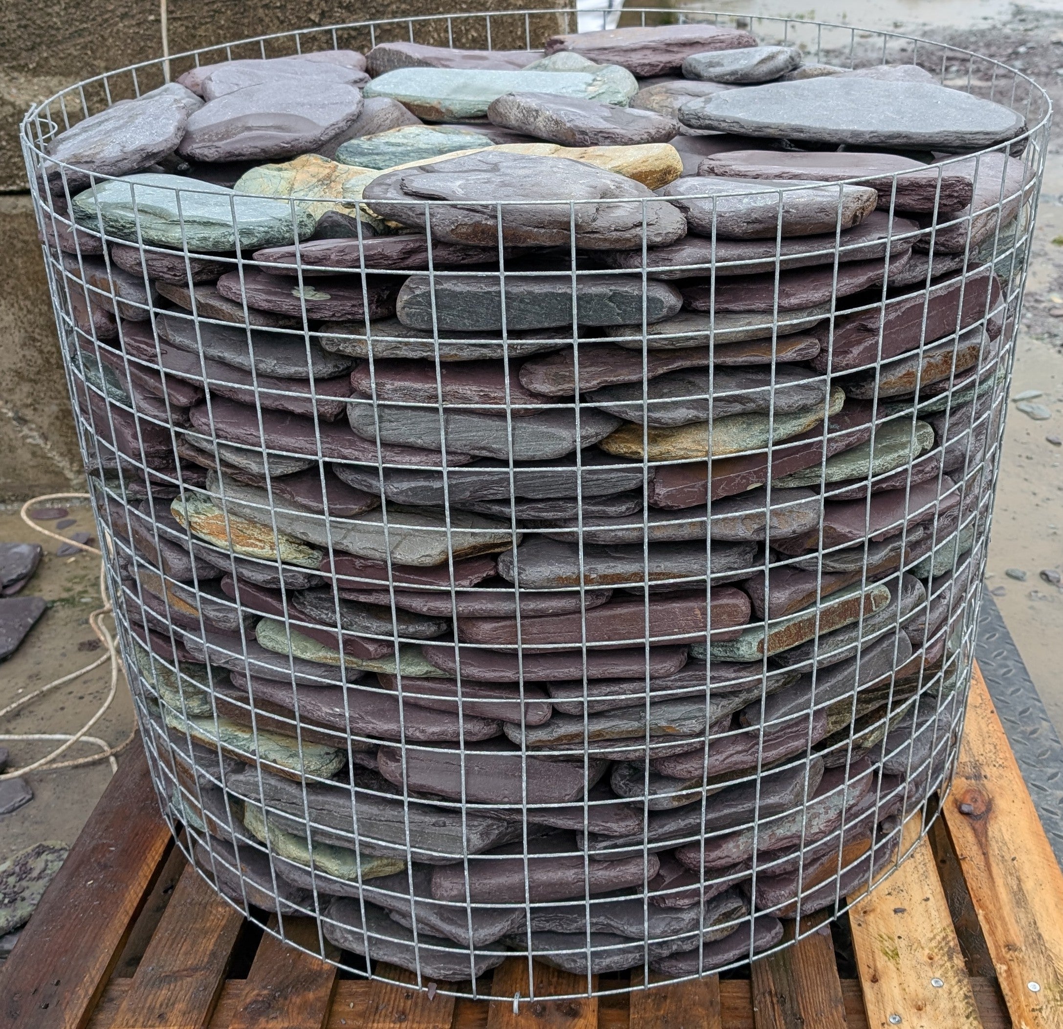 Celtic XL Paddlestones