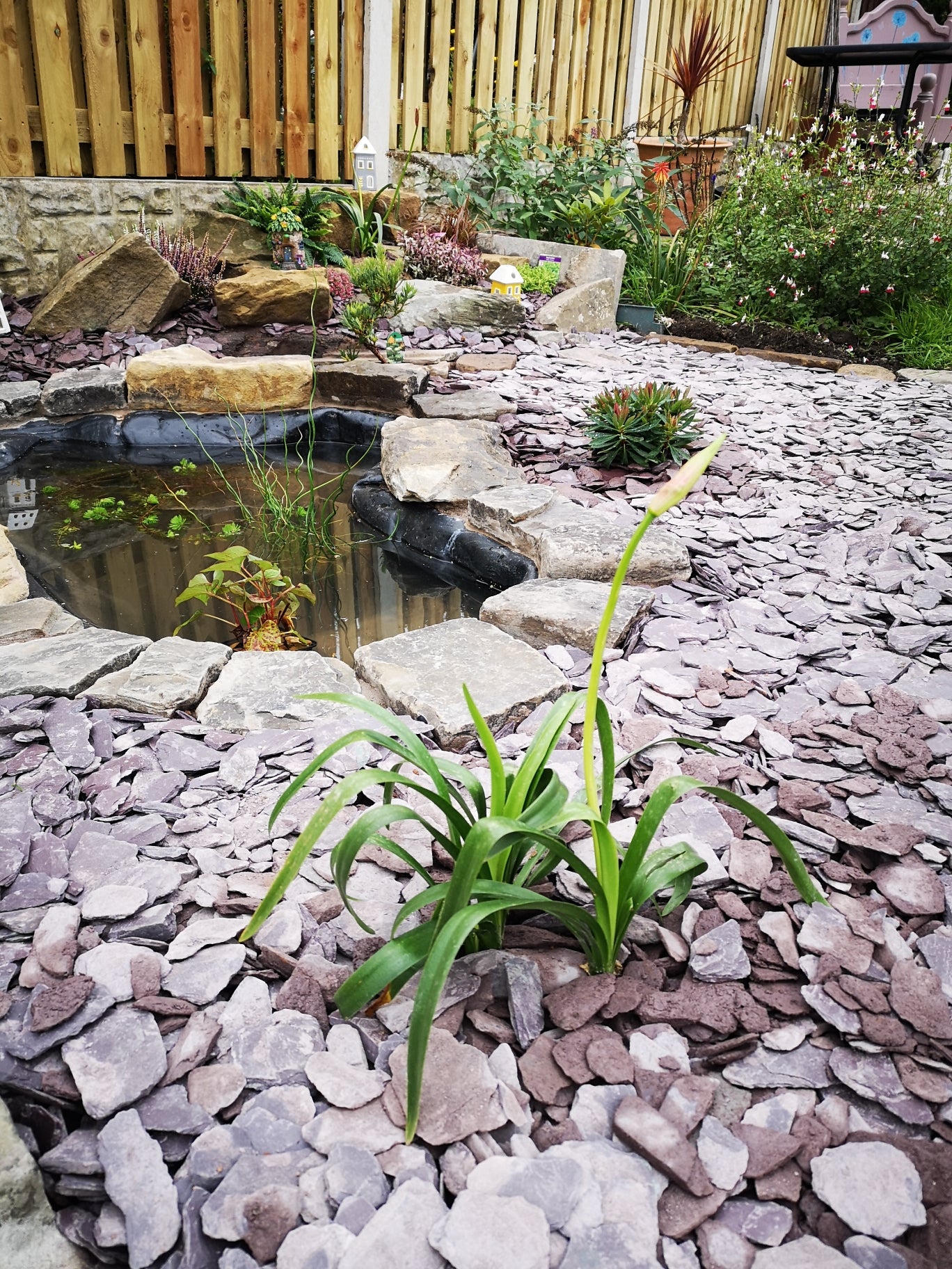 Plum Slate Chippings 40mm