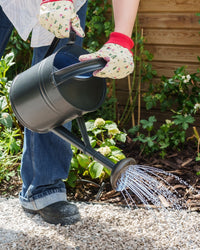 Person pouring gravel glue over gravel with a watering can in a garden setting