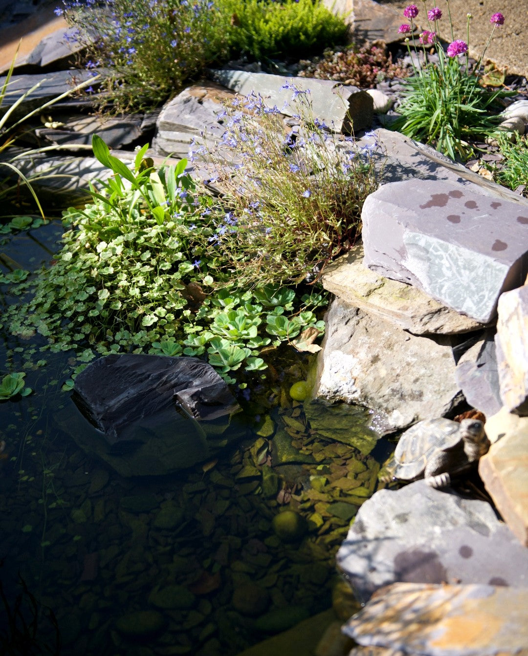 Multicoloured Rustic Slate Rockery 150-450mm