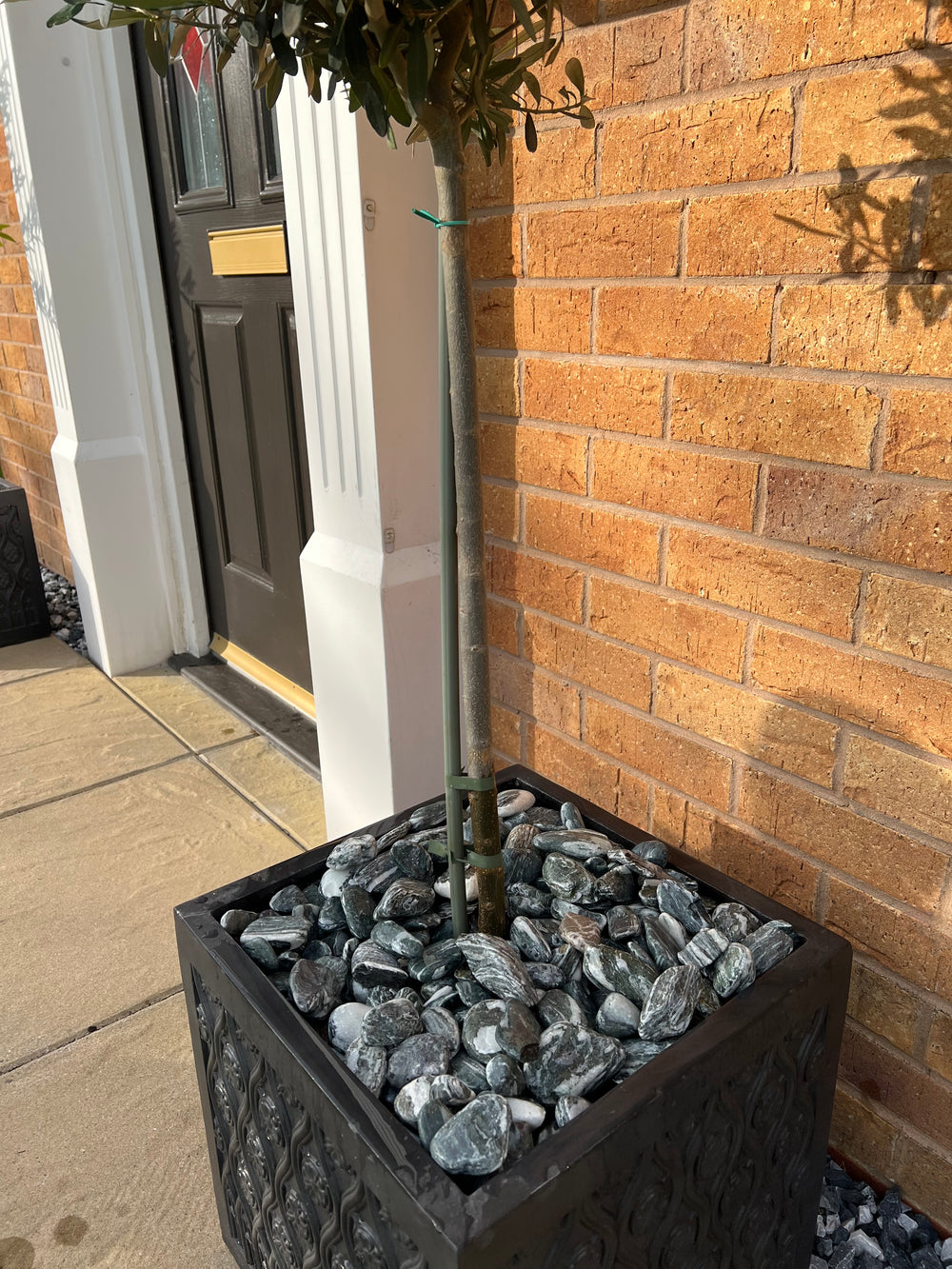 A tree plant pot topped with tumbled green pebbles, positioned by a front door