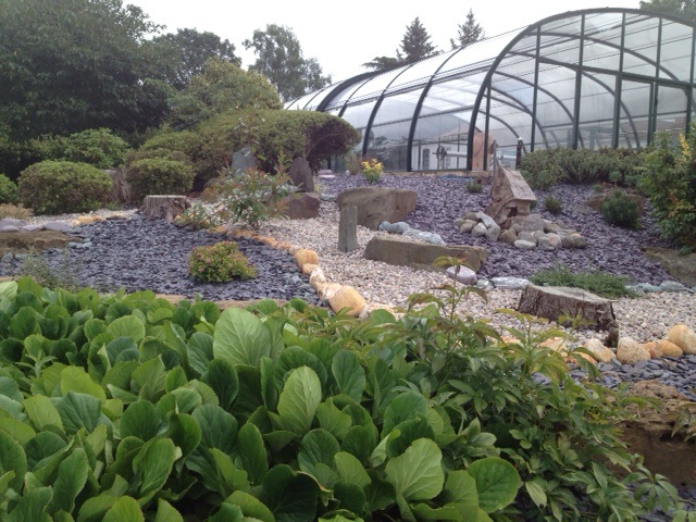 Slate chippings in garden with greenhouse and plants