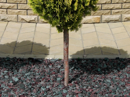 snowdonia tumbled slate laid around a single tree as decorative ground cover 