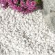 Polar White Marble Gravel 10mm garden
