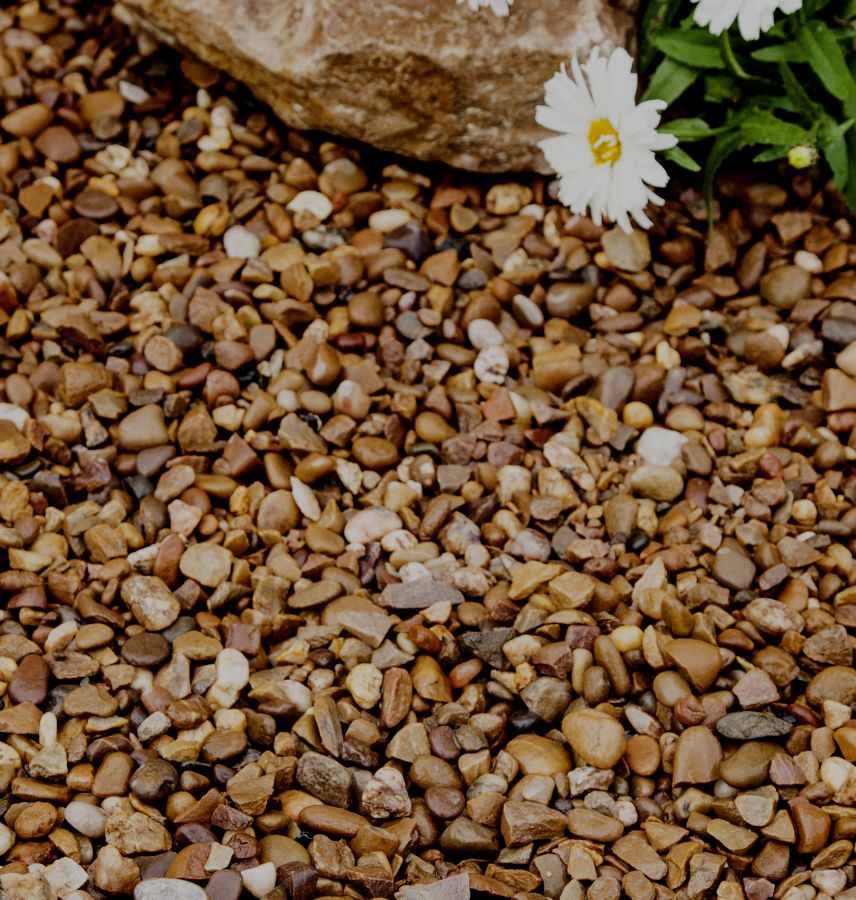 pea shingle 20mm