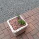 Red Gravel Plant Pot Top