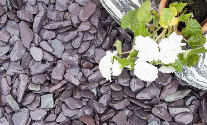 Blue slate chippings next to flower 