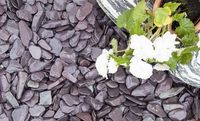 Blue slate chippings next to white flowers