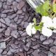 Blue slate chippings next to flower 
