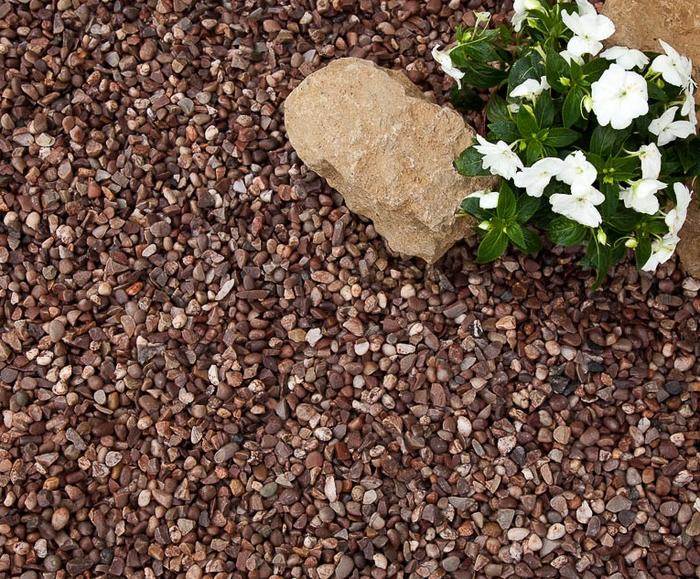 horticultural grit laid next to rockery and white flowers