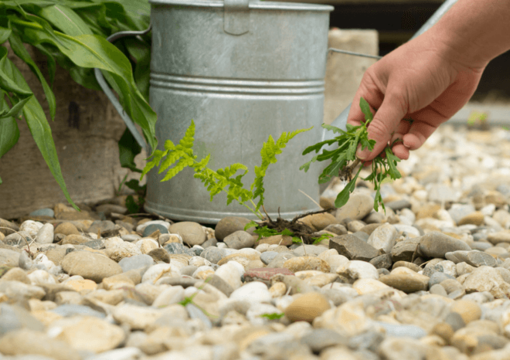 Weed-busting: Protecting Your Garden Gravel & Slate Chippings
