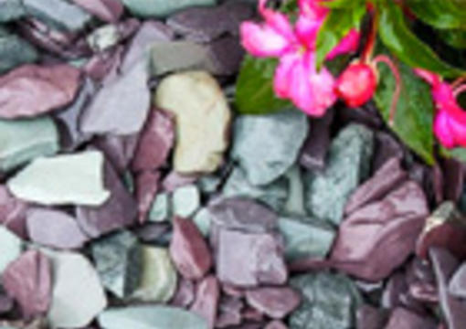 various slate chipping colours next to pink flowers