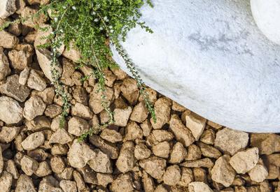 Cotswold Gold Gravel Near Plants