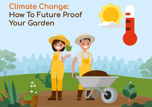 Climate Change: How To Future Proof Your Garden