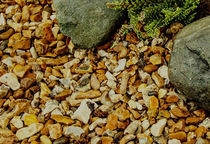 Golden Gravel laid next to rockery and plants