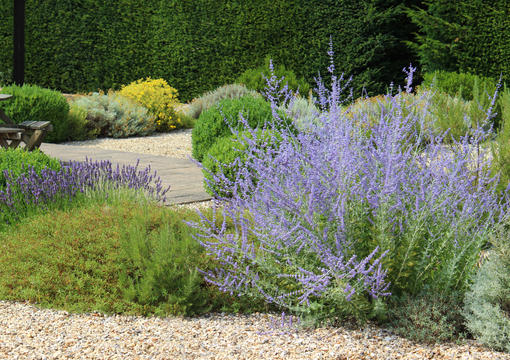 How to Create and Maintain A Gravel Garden