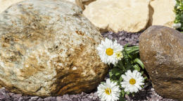 Welsh Quartz Boulders 350-450mm placed next to flowers 