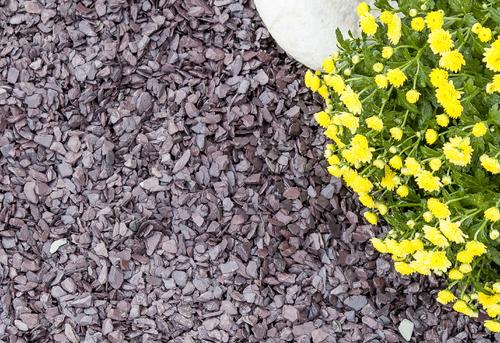 laid plum and blue slate mini mulch next to green and yellow flowers in garden