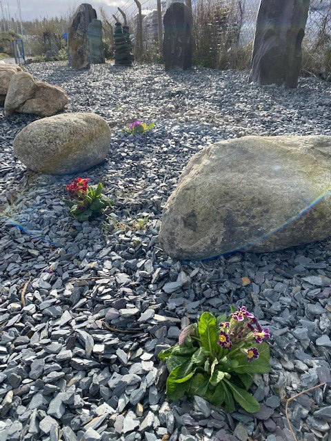 Welsh quartz boulders laid near plants and on decorative aggregate 