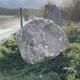 Welsh quartz granite boulder placed on shrubbery 