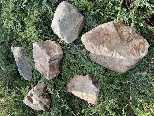welsh quartz granite boulders placed on green shrubbery