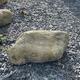 One welsh quartz boulder laid on slate chippings 