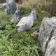 Slate Garden Feature Stones